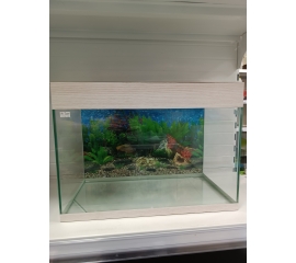 Аквариум Прямоугольный с освещением 38 л в Зоомагазин "Природа"