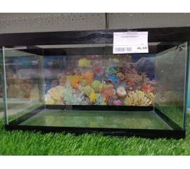 Аквариум прямоугольный 15 л без крышки в Зоомагазин "Природа"