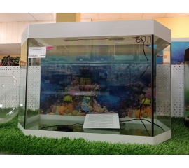 Аквариум панорама  60 л, в Зоомагазин "Природа"