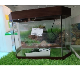 Аквариум панорама 26 литров в Зоомагазин "Природа"