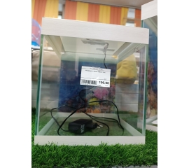 Аквариум Куб 15 литров с фоном в Зоомагазин "Природа"