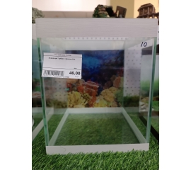 Аквариум кубик с фоном 10 литров в Зоомагазин "Природа"