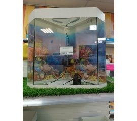 Аквариум угловой белый 24 литра в Зоомагазин "Природа"