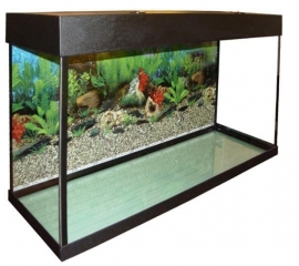 Аквариум Прямоугольный с освещением 116 литров в Зоомагазин "Природа"