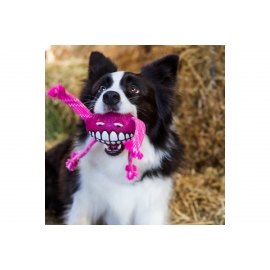 Rogz  игрушка д/с с пищалкой "Зубы" Grinz Flossy  розовый 21см в Зоомагазин "Природа"