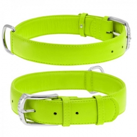 Ошейник "WAUDOG Glamour" (ш 35мм, д 46-60см), салатовый в Зоомагазин "Природа"
