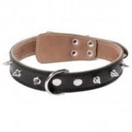 Ошейник кожаный "Шипы", 35мм*600мм в Зоомагазин "Природа"
