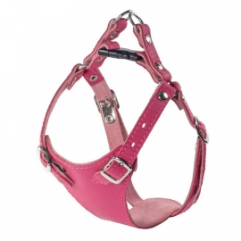 Шлейка кожаная "Белла" обх. шеи 200-280мм, обх.гр. 280-360мм в Зоомагазин "Природа"