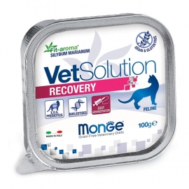 Консервы Monge VetSolution Recovery Cat влажная диета для кошек после операций и травм, 100 гр в Зоомагазин "Природа"