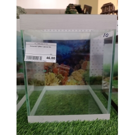 Аквариум кубик с фоном 10 литров в Зоомагазин "Природа"