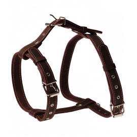 Шлея кожаная humpo прогулочная, серия ЧИП, ш 30, обх. груди до 85 см в Зоомагазин "Природа"