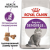 <bdi> Royal Canin Sensible 33 2 кг, корм для кошек с чувствительным пищеварением</bdi> в Зоомагазин "Природа"