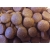 ZooRing Adult Dog Lamb&Rice (Ягненок и рис) 2 кг, Сухой корм для взрослых собак средних и крупных пород, склонных к аллергии в Зоомагазин "Природа"
