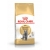 Royal Canin British Shorthair Adult 2 кг, корм для Британских кошек старше 12 месяцев в Зоомагазин "Природа"