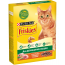Корм сухой Friskies для кошек, с курицей и полезными овощами, 300г в Зоомагазин "Природа"