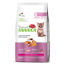 Сухой корм Trainer Natural Kitten (Лосось) для котят от 1 до 6 месяцев, 0,3 кг в Зоомагазин "Природа"