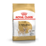 Royal Canin Chihuahua Adult 1,5кг, корм для Чихуахуа с 10 мес. в Зоомагазин "Природа"