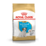 <bdi>Royal Canin Jack Russell Terrier Puppy 0,5 кг,корм для щенков Джек Расс</bdi> в Зоомагазин "Природа"
