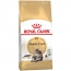 Royal Canin Siamese 2кг, корм для сиамских кошек с 12 мес в Зоомагазин "Природа"