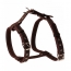 Шлея кожаная humpo прогулочная, серия ЧИП, ш 25, обх. груди до 70 см в Зоомагазин "Природа"