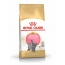<bdi>Royal Canin British Shorthair Kitten 10 кг, корм для Британских котят до 12 месяцев</bdi> в Зоомагазин "Природа"