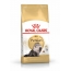 <bdi>Royal Canin Persian Adult 4 кг, корм для персидских кошек с 12 мес</bdi> в Зоомагазин "Природа"